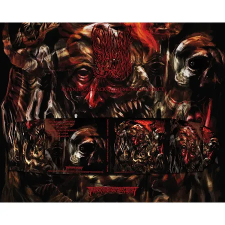 Dwelling Below - Wearisome Guardians płyta CD